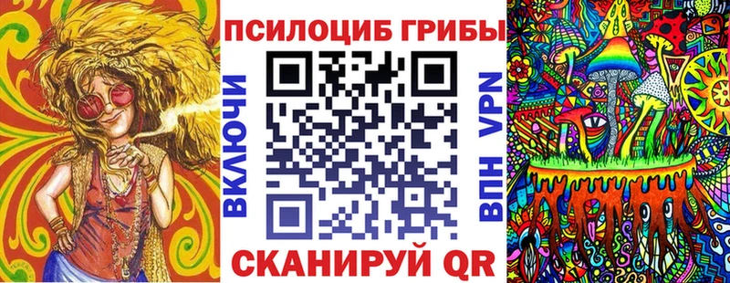 где найти наркотики Чернушка ОМГ ОМГ как зайти Галлюциногенные грибы Psilocybe