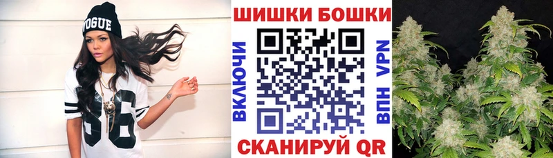 Каннабис ГИДРОПОН  Чернушка 